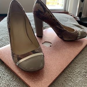 Calvin Klein Snakeskin Shoes
